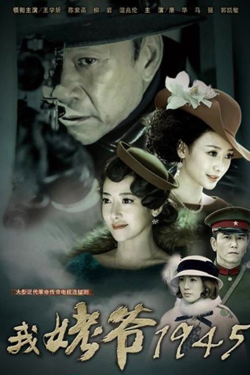 我姥爷1945之绝命枪 封面