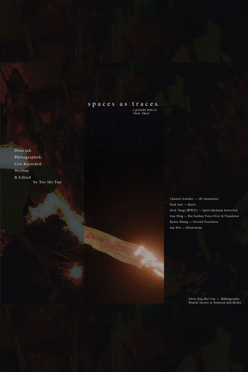 spaces as traces 封面