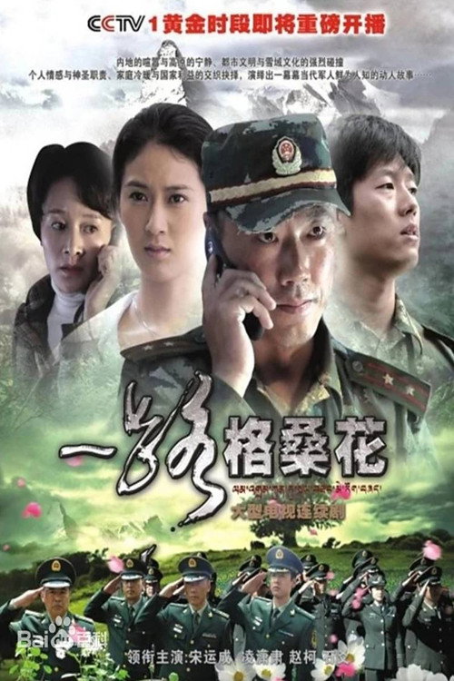 一路格桑花 封面