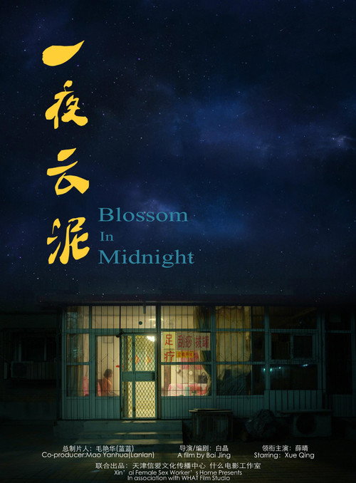 一夜云泥 封面