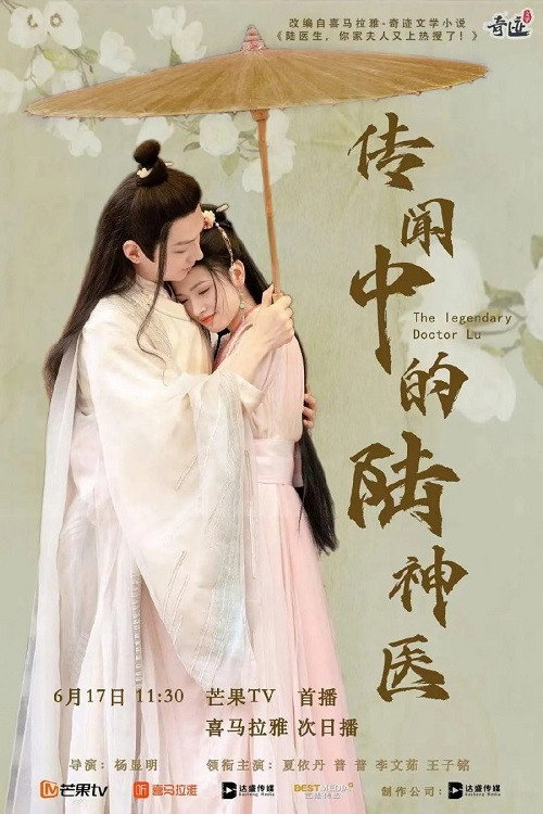 传闻中的陆神医 封面