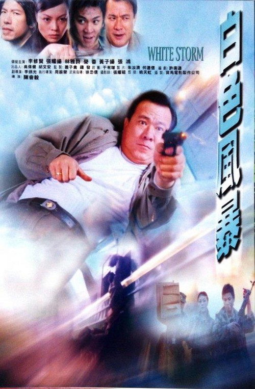 白色风暴 封面