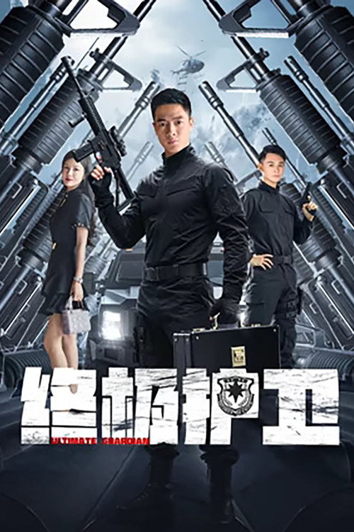 终极护卫 封面