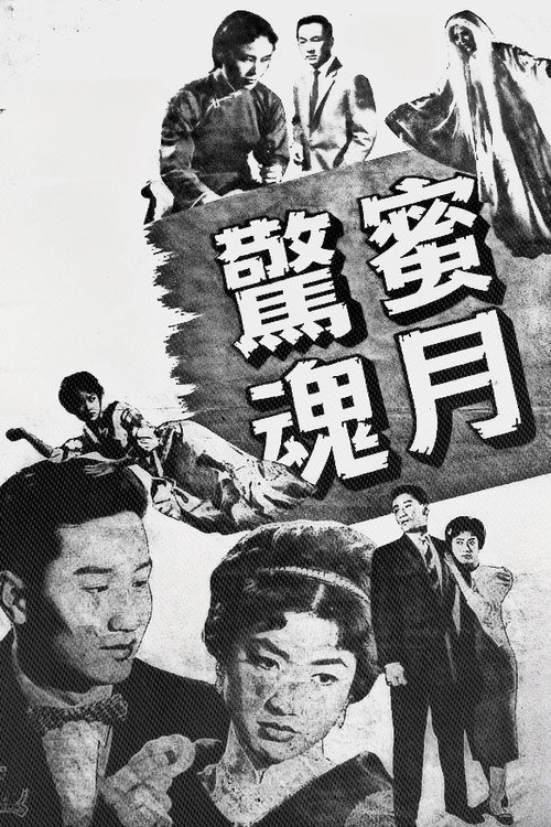 蜜月驚魂 封面