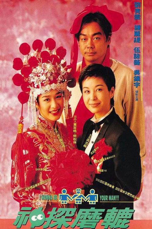 神探磨辘 封面