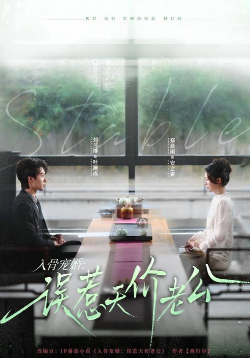 入骨宠婚:误惹天价老公 封面
