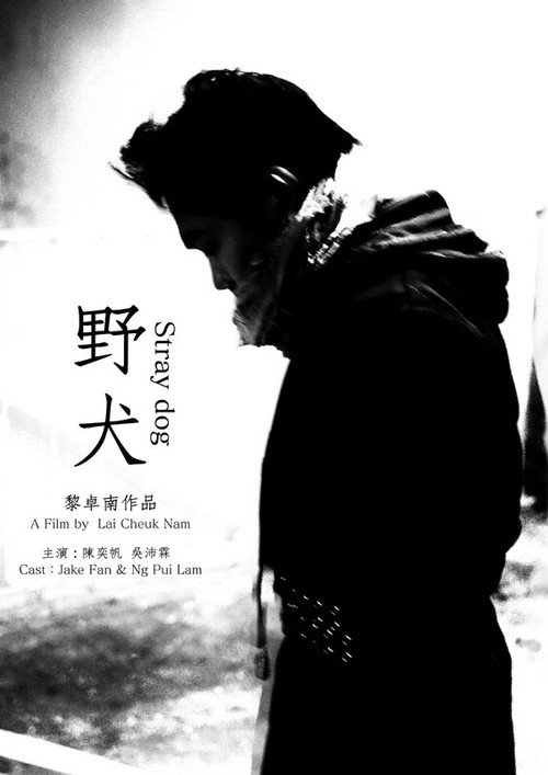 《野犬》 封面