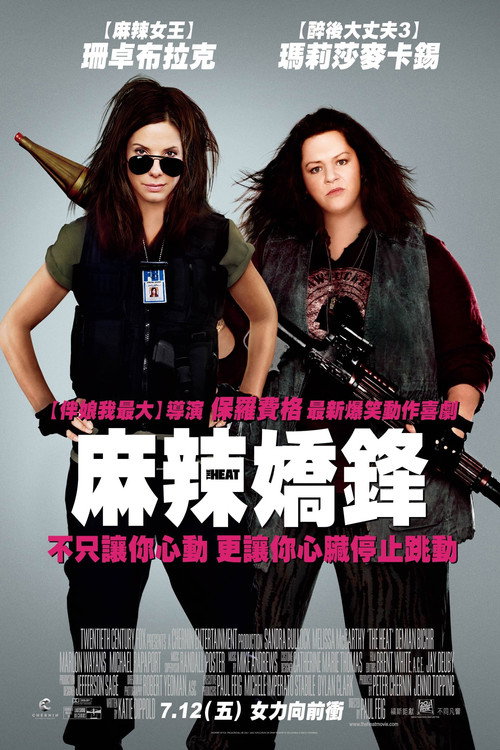 辣手警花 封面