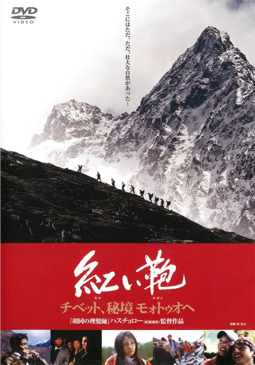 心跳墨脱 封面