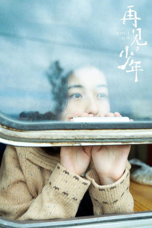 再见,少年 封面
