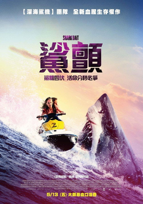 鲨颤 封面