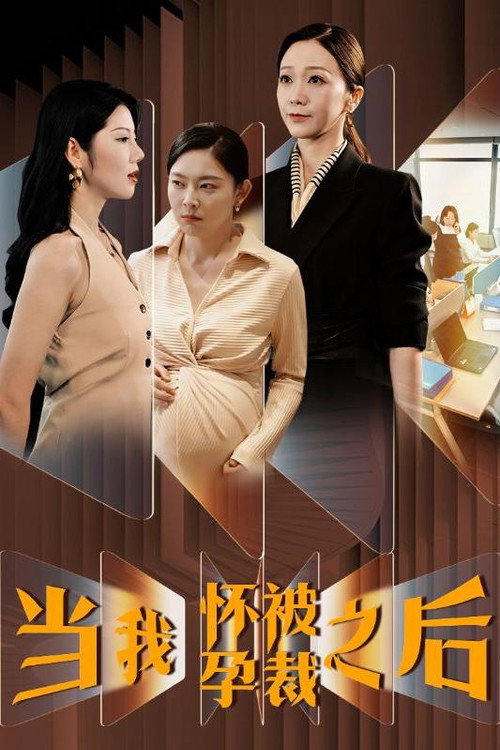 当我怀孕被裁之后 封面