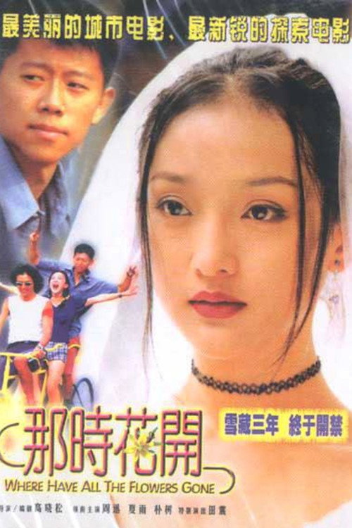 那时花开 封面