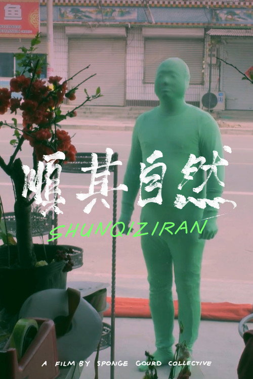 Shunqiziran 封面