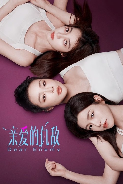 亲爱的仇敌 封面