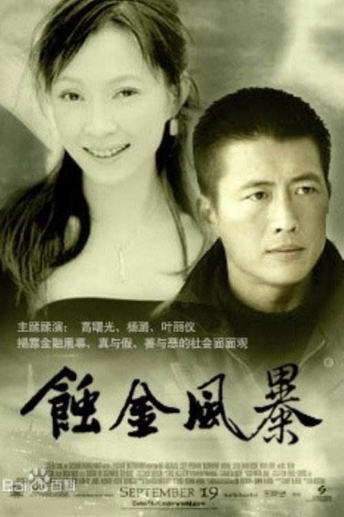 蚀金风暴 封面