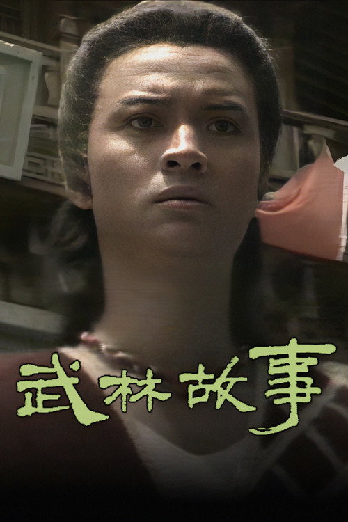 武林故事 封面