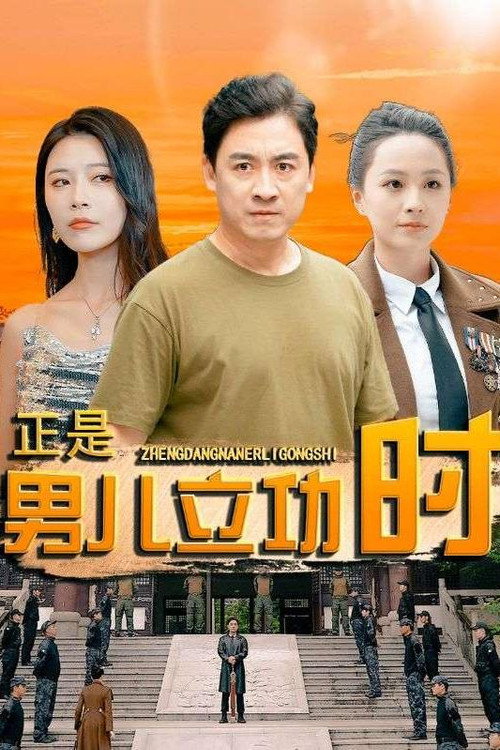 正是男儿立功时 封面