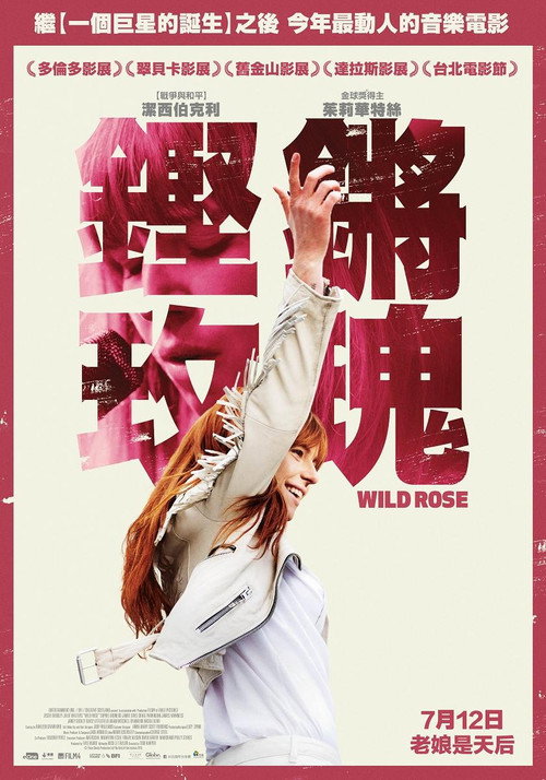 野玫瑰 封面