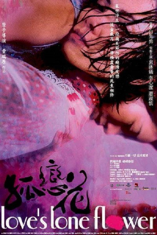 孤恋花 封面