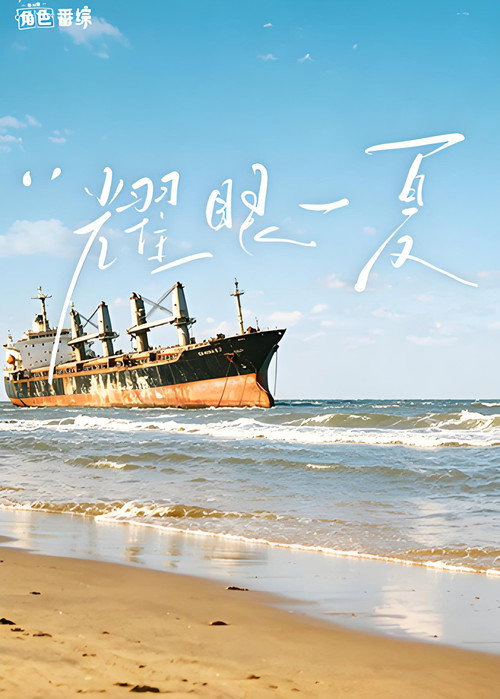 耀眼一夏 封面