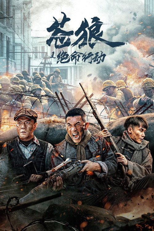 苍狼之绝命行动 封面
