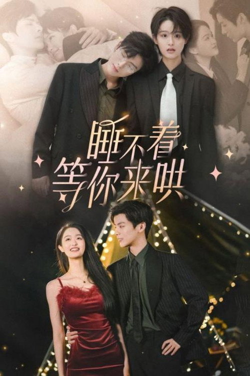 睡不着等你来哄 封面