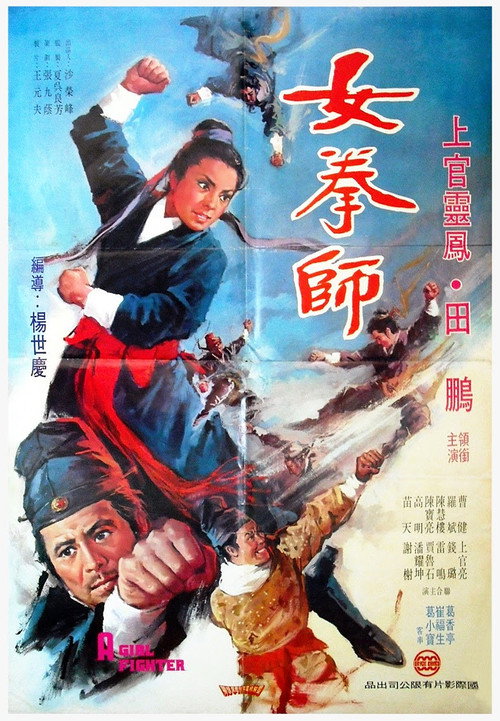 女拳师 封面