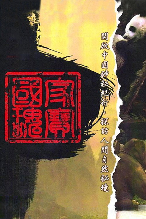中国神秘纪行 封面