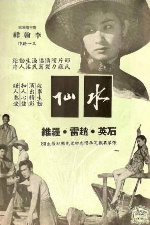 水仙 封面