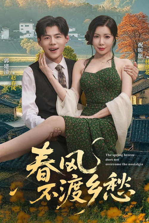 春风不渡乡愁 封面