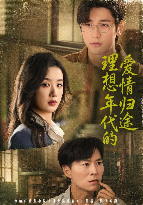 理想年代的爱情归途 封面