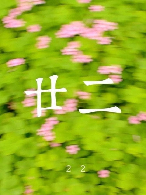 廿二 封面