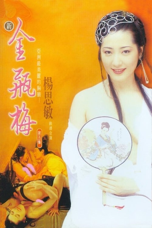 新金瓶梅5 封面