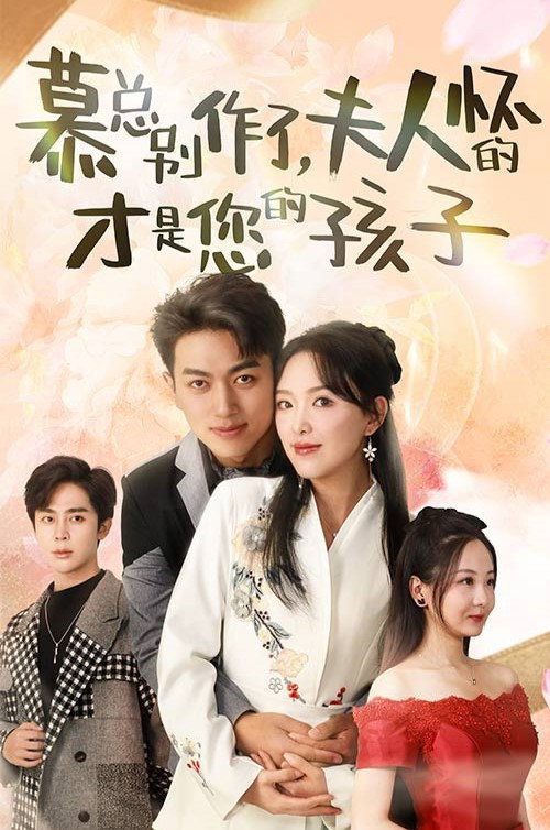 慕总别作了,夫人怀的才是您的孩子 封面