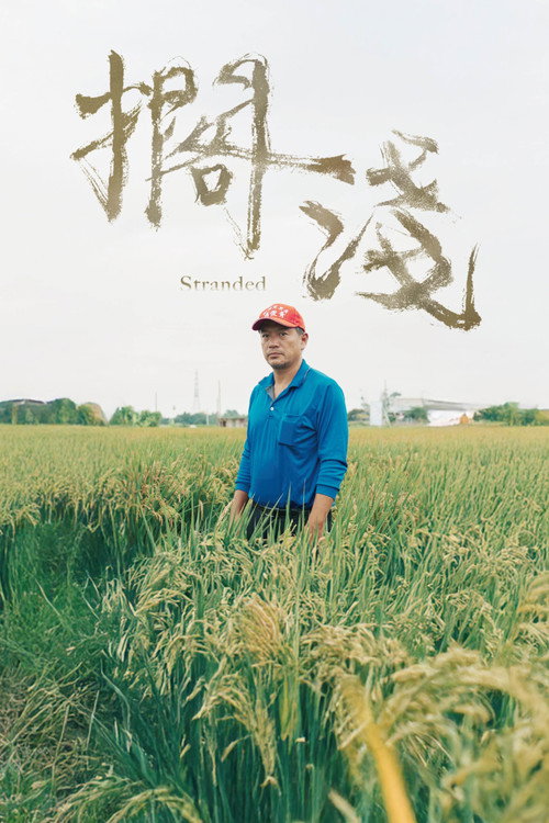 擱淺 封面