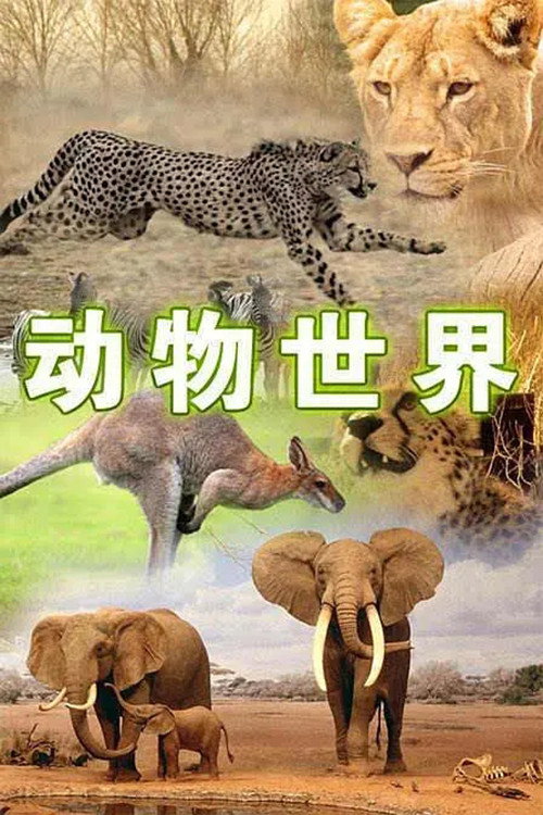 动物世界 封面