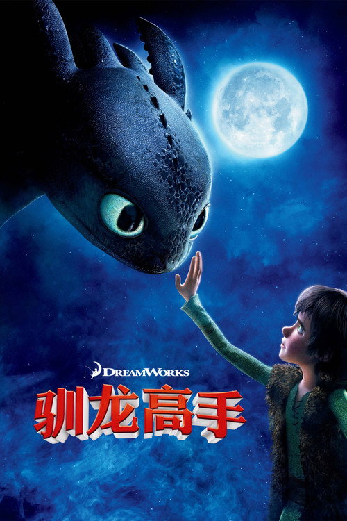 驯龙高手 封面