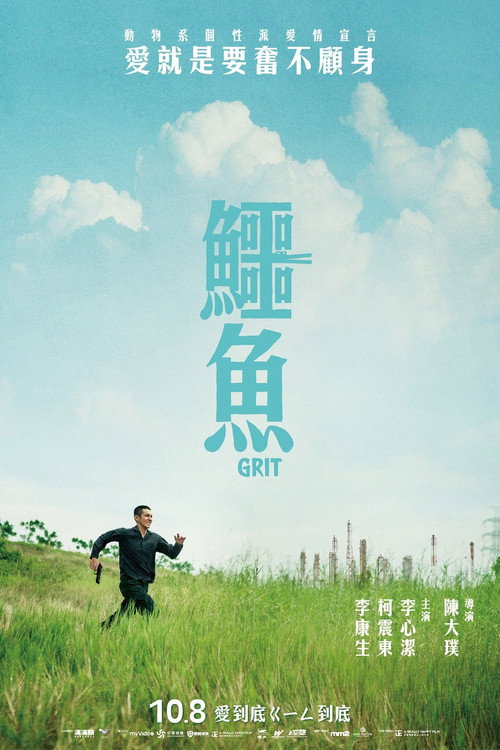 鳄鱼 封面