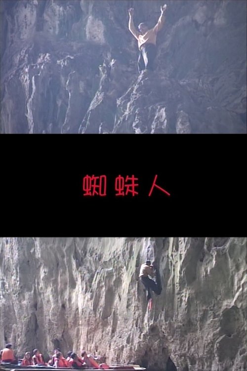 蜘蛛人 封面