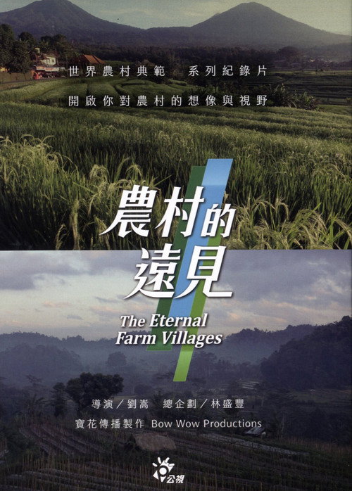 农村的远见 封面