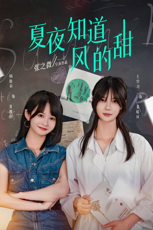 夏夜知道风的甜 封面