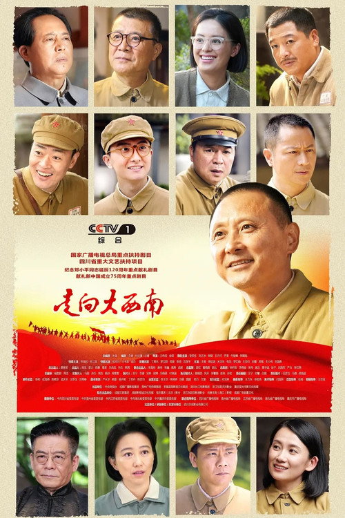走向大西南 封面