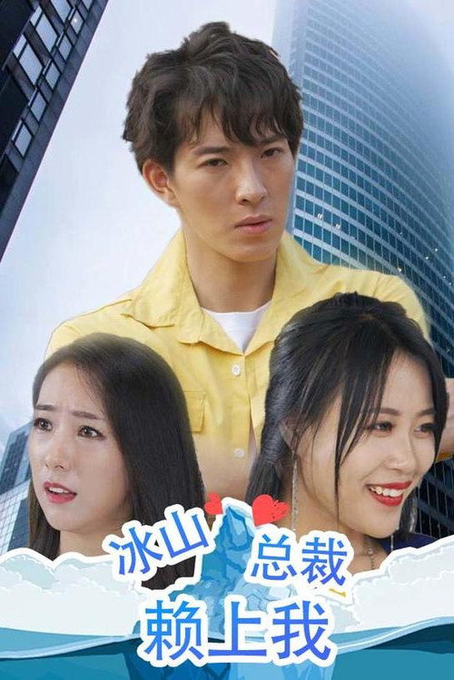 冰山总裁赖上我 封面