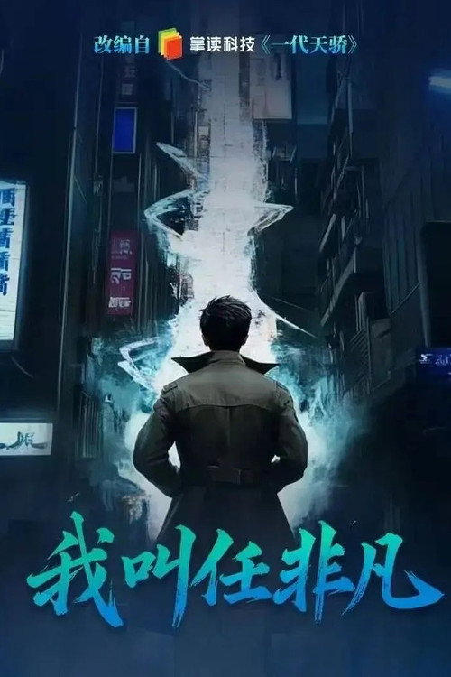 我叫任非凡 封面