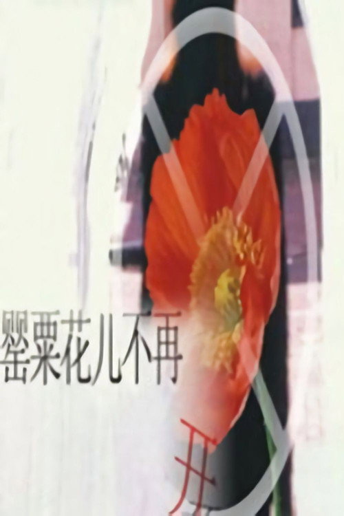 罂粟花儿不再开 封面