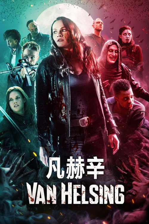 凡妮莎海辛 封面