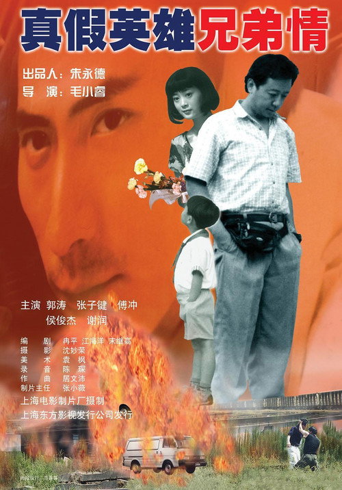 真假英雄兄弟情 封面