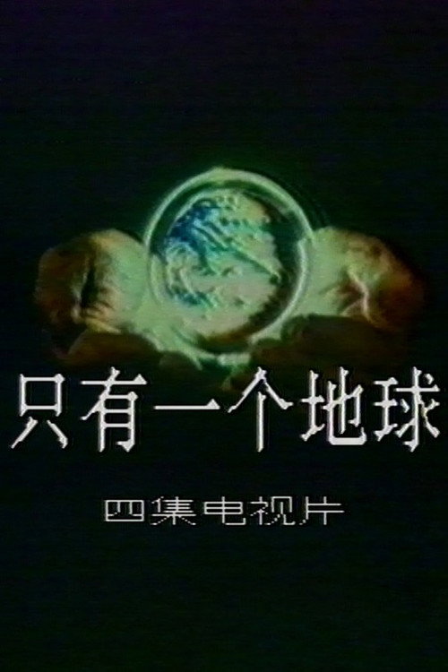 只有一个地球 封面