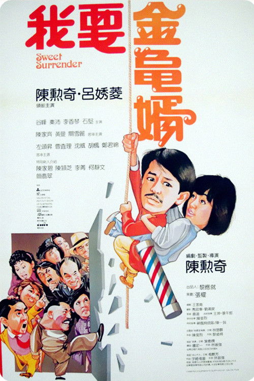 我要金龟婿 封面